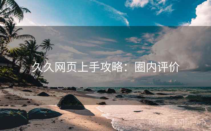 久久网页上手攻略：圈内评价