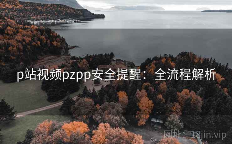 p站视频pzpp安全提醒：全流程解析