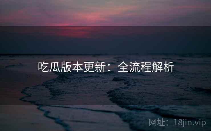 吃瓜版本更新：全流程解析