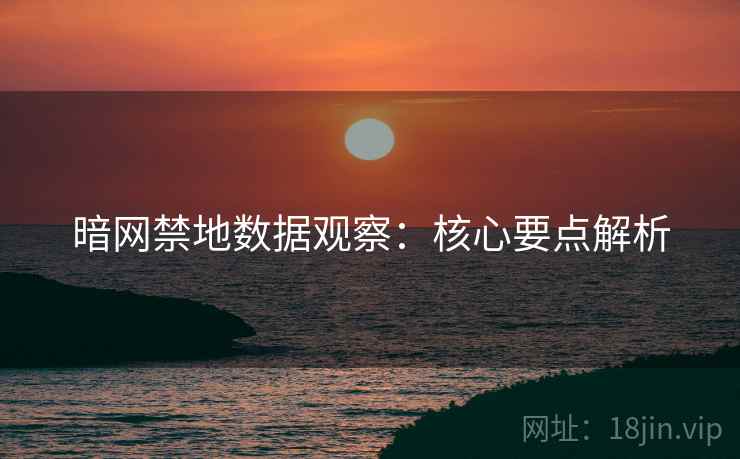 暗网禁地数据观察：核心要点解析