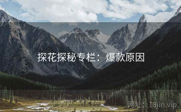 探花探秘专栏：爆款原因