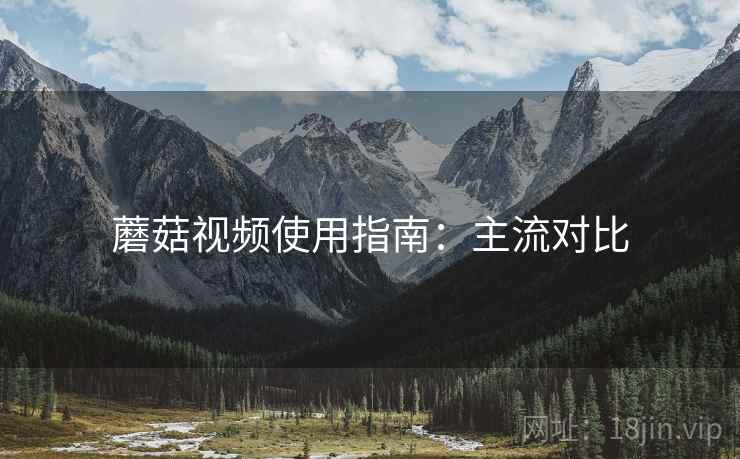 蘑菇视频使用指南：主流对比