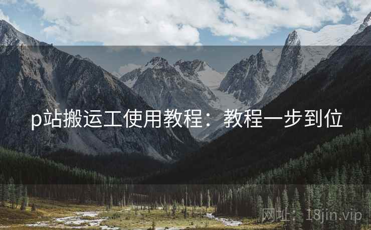 p站搬运工使用教程：教程一步到位