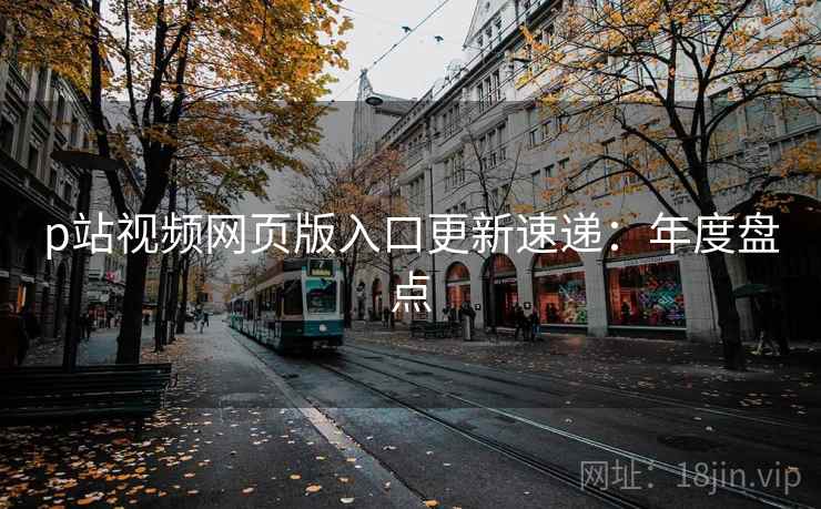 p站视频网页版入口更新速递：年度盘点