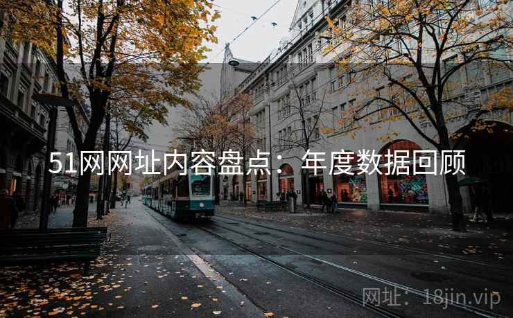 51网网址内容盘点：年度数据回顾