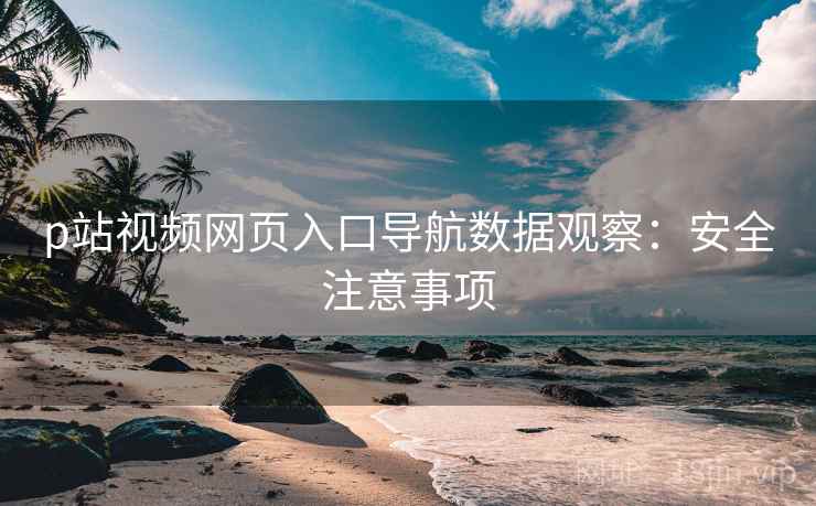 p站视频网页入口导航数据观察：安全注意事项